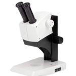 Stereo Microscopes
